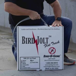 Bird Jolt Flat Track Kit