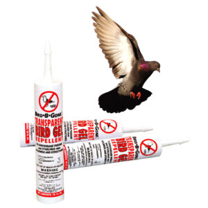 Transparent Bird Gel