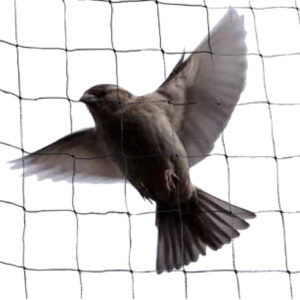 Mist Net Capture Kit
